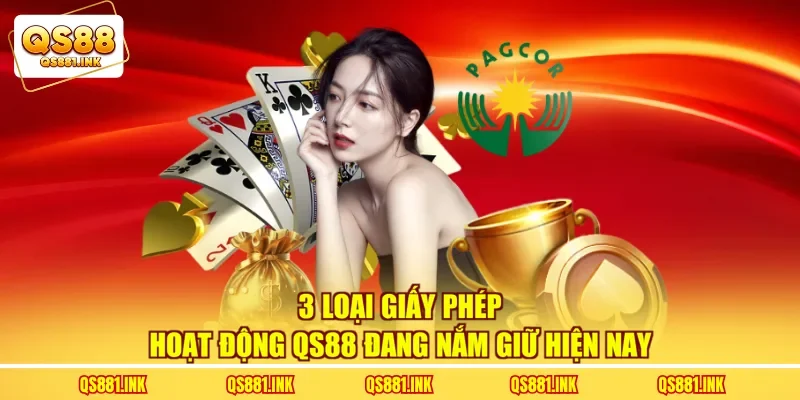 3 loại giấy phép hoạt động QS88 đang nắm giữ hiện nay
