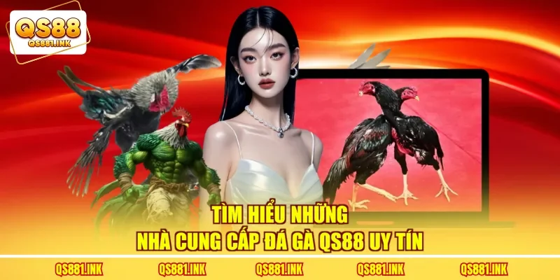 Tìm hiểu những nhà cung cấp đá gà QS88 uy tín